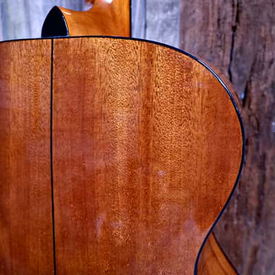 Samick  Greg Bennett OM-1/ BS image 21