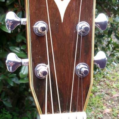 1982 Yairi D 35 YW-500P - Bargain! image 6