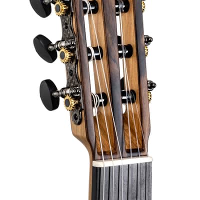 NOVA Classic - Double-Top (Cedar), A.R.S. Back & Sides (Bolivian Rosewood) • 650 mm scale 52 mm nut (not NOMEX) Pickup Multi-Source mic image 3