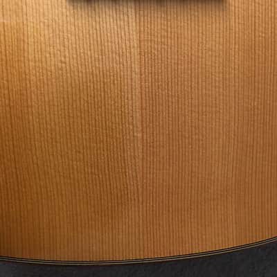 Ricardo Sanchis Carpio  1A Classical Guitar image 16
