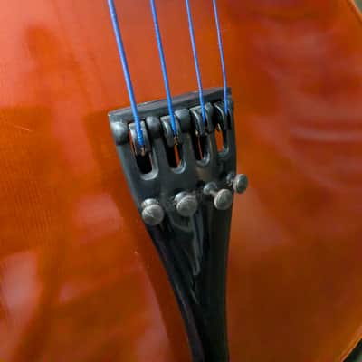 Cello Samuel Eastman VC100 4/4 size 1999 image 5