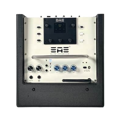 Elite Acoustics EAE D6-8 MKII 80W Rechargeable Acoustic Amp, Six Chan Digital Mixer, LFP Battery and Bluetooth image 2
