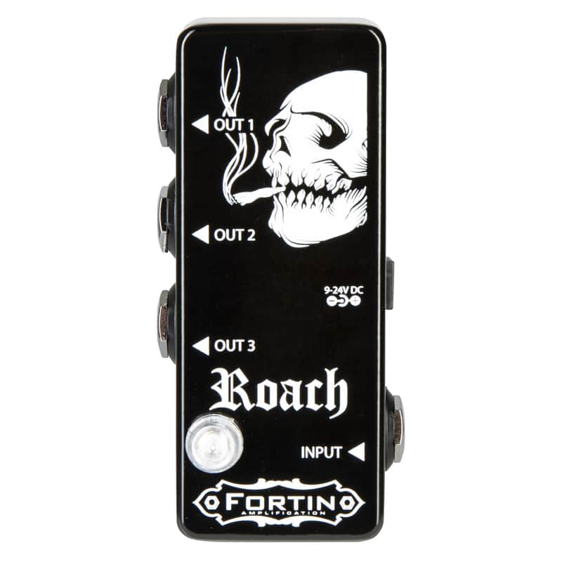 Fortin Amplification Roach image 1