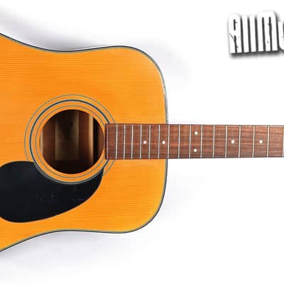 Vintage Tokai Gakki Japan DM12-5 12-string Acoustic Guitar Project image 2