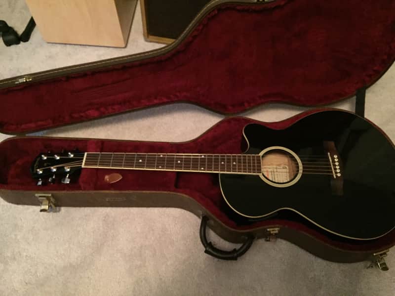 Palmer Guitar Co. Acoustic Electric Pf24 EC Black With Hardshell Case image 1
