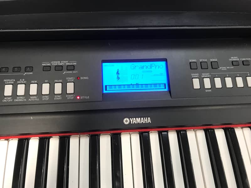 Yamaha NP-V60 Piaggero | Reverb