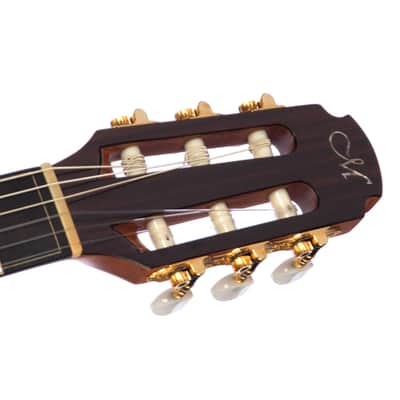 Maestro Guitars Crossover Series Vera - Modern 00 Cutaway Nylon String - Custom Boutique Acoustic Guitar - NEW! image 10