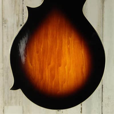 DEMO Gold Tone GM-35 - Tobacco Sunburst (384) image 4