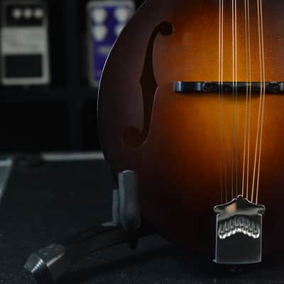 Collings MT Mandolin Left Handed 2014 - Sunburst image 11
