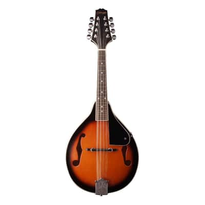Stagg M20 Mandolin image 1