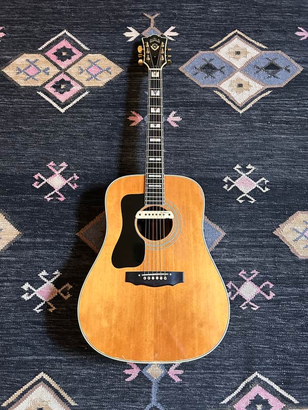 1975 D-55 Left Handed Dreadnought Guitar (Westerly RI!) image 1