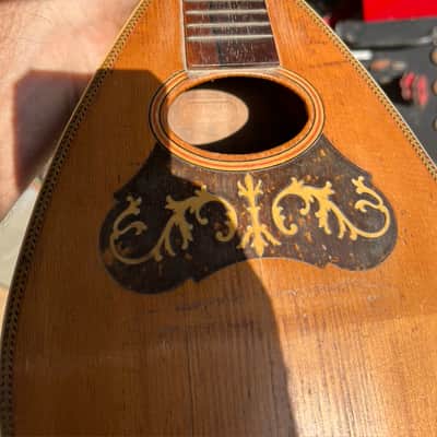American Conservatory, Lyon & Healy Bowl Back Mandolin image 7