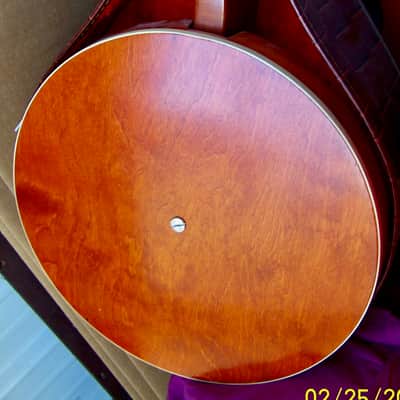 5 String Banjo with Case image 2