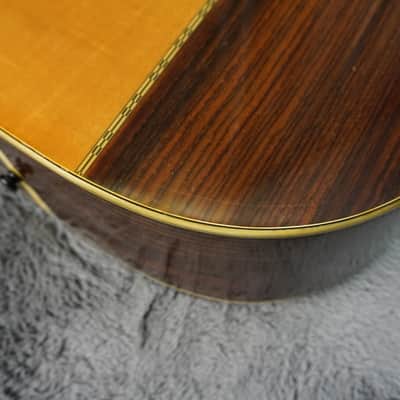 TF Morris W-50 - Natural Japan Acoustic image 16