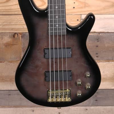 Ibanez GSR205PC 5-String Bass Transparent Pale Black Burst image 1