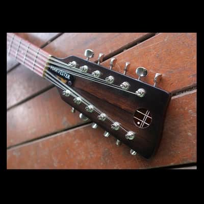 Harvester Guitars Double Cut Dozen, Recycler Series 12 String, 2022, NEW (Authorized Dealer) image 15
