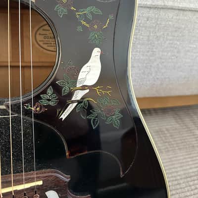 Gibson Dove 1993 - Ebony image 3