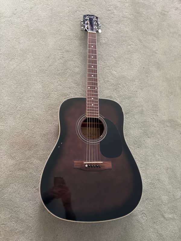 Carlo Robelli Acoustic Guitar CW4102EQB image 1