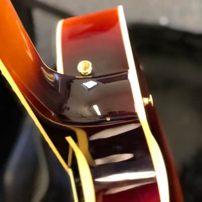 D'Angelico NYL-6 Special Vestax 2002 Sunburst image 10