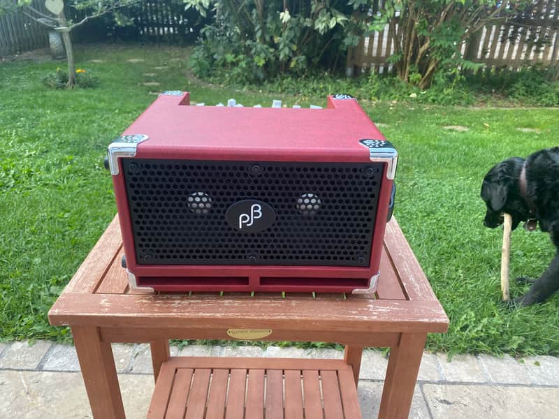 Phil Jones BG-120 Bass Cub Pro 120 Red 2023 image 1