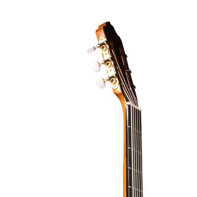 6 String Contrabass Guitar (Octave Bass) - Esteve PS75 - All Solid Wood/Cedar/Indian Rosewood - 750mm Scale Length image 10