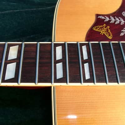 1975 Greco 202 Hummingbird Model MIJ by Fujigen Gakki image 24