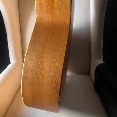 Tacoma BM6C Baritone Thunderhawk Datt Case image 10