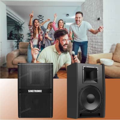 Singtronic KS-550Pro Karaoke Vocalist 2000W Speaker, Full Range image 5