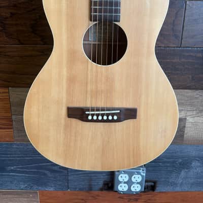Recording King EZ tone parlor A acoustic - ultra thin Polyurethane image 3