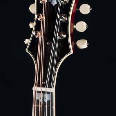 Hinde Jazz Model Adirondack Spruce and Flamed Maple Merlot Burst Mandolin with Pickup image 11