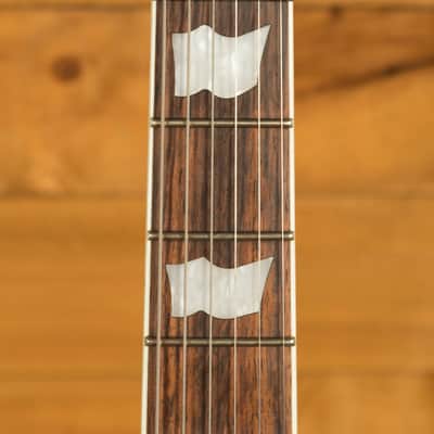 ESP LTD EC-256 - Rosewood - Vintage Gold Satin image 6