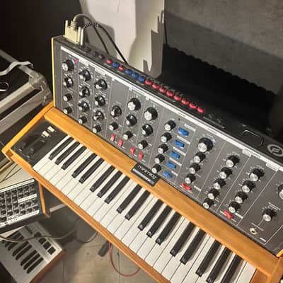 Moog Moog MiniMoog Voyager OldSchool 2008 image 5