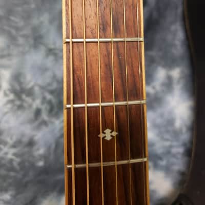 2011 Fina Model FAW-1216M Dreadnought Exotic Woods Pro Setup Original Soft Shell Case image 7