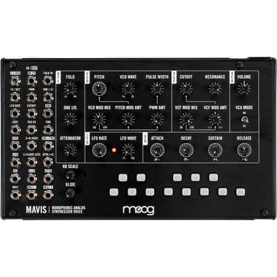 Moog Mavis Monophonic Analog Synthesizer Voice - Black image 1