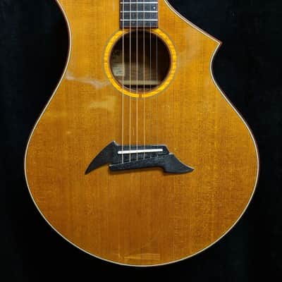 1992 Breedlove CM Masterclass Acoustic Guitar with Case image 2