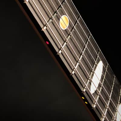 Alembic Darling - Fancy Walnut/Demo image 9