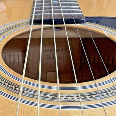 Washburn D13S 1994-1996 image 5