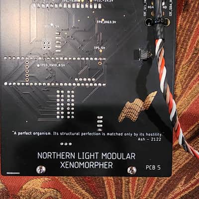 Northern Light Modular Xenomorpher [Buchla Compatible] 4U image 3