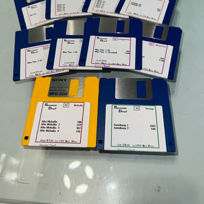 Resonant Dwarf Studios Ensoniq EPS16+ 1995 DSDD (17 discs)