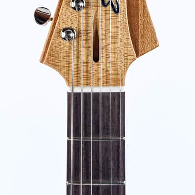 Eastman FullerTone DC 62 Moss Black image 2