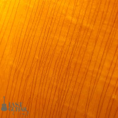 Gibson Byrdland 1969 image 13