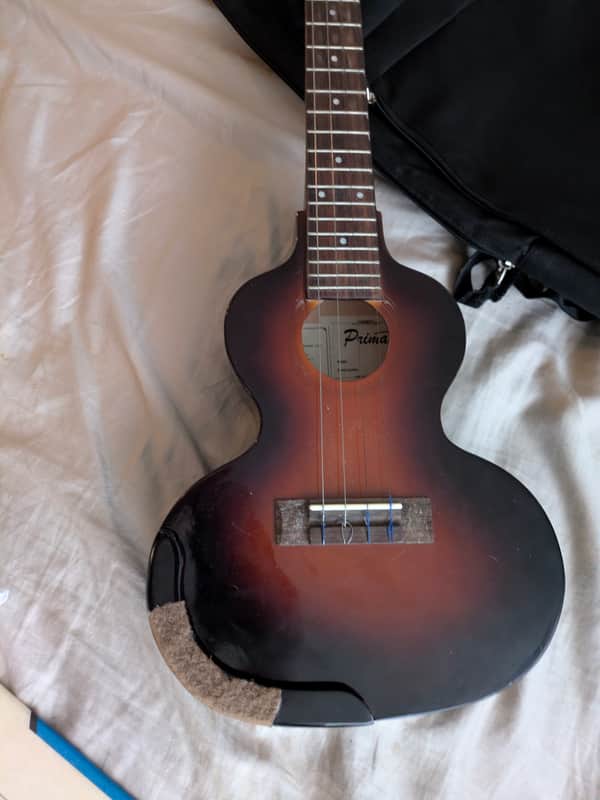 Zhao Xichang 2024 Custom "Huaibaoqin" 4-String Prototype image 1