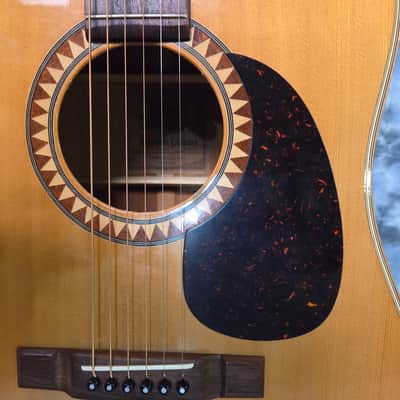 Vintage 1981 Japan Hand Made Alvarez Model 5017 Dreadnought Solid Spruce Top X-Braced New Strings Pro Setup Newer Gigbag image 4
