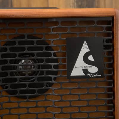 Godin Acoustic Solution ASG-75 watt Wood 2 Channel Acoustic Guitar Amp image 3