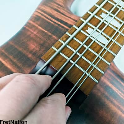 Spector Euro RST 5-String Bass Sienna EMG BTS - NB18597 image 24