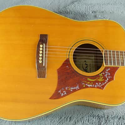 Roje by Zen-On 250 Hummingbird Style Acoustic Japan image 6
