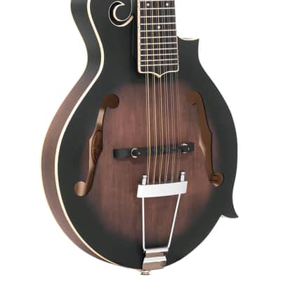 Gold Tone F-12: 12-string F-style Mando-Guitar with Pickup and Case image 5
