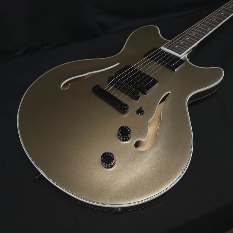 Tagima Ekosonic Hollow Body Electric Guitar Hard Case image 1
