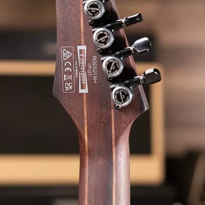 Ibanez RGD621AHMNF Standard Electric Guitar - Midnight Shade Fade image 6