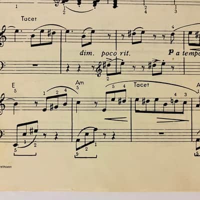 Ludwig Van Beethoven  Fur Elise Sheet Music Piano Song Vintage Notation Used Play 1964 image 4